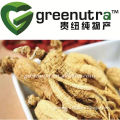 Panax ginseng extract 20% ginsenoside